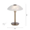 Paul Neuhaus ENOVA Tafellamp LED Oud messing, 1-licht