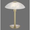 Paul Neuhaus ENOVA Tafellamp LED Messing, 1-licht