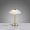 Paul Neuhaus ENOVA Tafellamp LED Messing, 1-licht