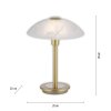 Paul Neuhaus ENOVA Tafellamp LED Messing, 1-licht