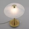Paul Neuhaus ENOVA Tafellamp LED Messing, 1-licht