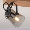 Leuchten-Direkt GREEN LANGSTRÖM Plafondlamp Natuurlijke kleuren, Zwart, 2-lichts