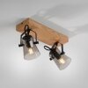 Leuchten-Direkt GREEN LANGSTRÖM Plafondlamp Natuurlijke kleuren, Zwart, 2-lichts