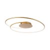 Paul Neuhaus NASTRO Plafondlamp LED Goud, 1-licht