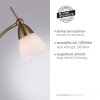 Paul Neuhaus PINO Staande lamp LED Oud messing, 1-licht