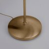 Paul Neuhaus PINO Staande lamp LED Oud messing, 1-licht