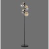 Paul Neuhaus POPSICLE Staande lamp LED Zwart, 7-lichts