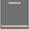 Paul Neuhaus PURE E-MOTION Hanglamp LED Goud, 1-licht, Afstandsbediening