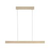 Paul Neuhaus PURE E-MOTION Hanglamp LED Goud, 1-licht, Afstandsbediening