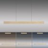 Paul Neuhaus PURE E-MOTION Hanglamp LED Goud, 1-licht, Afstandsbediening