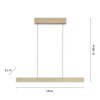 Paul Neuhaus PURE E-MOTION Hanglamp LED Goud, 1-licht, Afstandsbediening