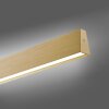 Paul Neuhaus PURE E-MOTION Hanglamp LED Goud, 1-licht, Afstandsbediening