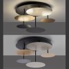 Paul Neuhaus Q-PIATO Plafondlamp LED Wit, 1-licht, Afstandsbediening