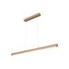 Mixto Hanglamp LED Natuurlijke kleuren, 1-licht