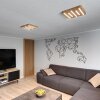 Cajas Plafondlamp LED Natuurlijke kleuren, 5-lichts