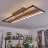 Nevogilde Plafondlamp LED Natuurlijke kleuren, Zwart, 1-licht Nevogilde Plafondlamp LED Natuurlijke kleuren, Zwart, 1-licht