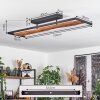 Nevogilde Plafondlamp LED Natuurlijke kleuren, Zwart, 1-licht Nevogilde Plafondlamp LED Natuurlijke kleuren, Zwart, 1-licht