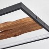 Nevogilde Plafondlamp LED Natuurlijke kleuren, Zwart, 1-licht Nevogilde Plafondlamp LED Natuurlijke kleuren, Zwart, 1-licht