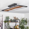 Nevogilde Plafondlamp LED Natuurlijke kleuren, Zwart, 1-licht Nevogilde Plafondlamp LED Natuurlijke kleuren, Zwart, 1-licht