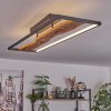 Nevogilde Plafondlamp LED Natuurlijke kleuren, Zwart, 1-licht Nevogilde Plafondlamp LED Natuurlijke kleuren, Zwart, 1-licht