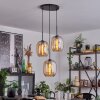 Apedo Hanger Amber, 3-lichts