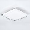 Pawcatuck Inbouw verlichting LED Wit, 1-licht
