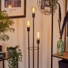 Maiford Staande lamp Zwart, 3-lichts