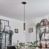 Caimitte Hanger Zwart, 1-licht