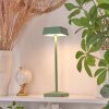 Algeraz Tafellamp LED Groen, 1-licht
