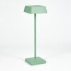 Algeraz Tafellamp LED Groen, 1-licht