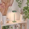 Algeraz Tafellamp LED Groen, 1-licht
