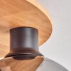 Koyoto Plafondlamp - Glas Natuurlijke kleuren, Zwart, 6-lichts