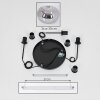 Apedo Hanger - Glas Rookkleurig, 3-lichts