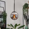 Gastor Hanger - Glas Chroom, Rookkleurig, 1-licht