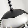 Gastor Hanger - Glas Chroom, Rookkleurig, 1-licht
