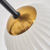 Chehalis Plafondlamp Goud, Zwart, 6-lichts