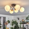 Chehalis Plafondlamp Goud, Zwart, 6-lichts