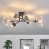 Chehalis Plafondlamp Duidelijk, 6-lichts
