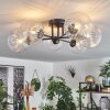 Chehalis Plafondlamp Duidelijk, 6-lichts