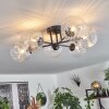 Chehalis Plafondlamp Duidelijk, 6-lichts