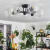 Chehalis Plafondlamp Duidelijk, 6-lichts