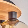 Koyoto Plafondlamp - Glas Natuurlijke kleuren, Zwart, 6-lichts