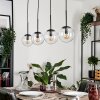 Gastor Hanger - Glas Duidelijk, 4-lichts