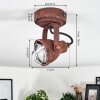Drobak Plafondlamp Roest, Zwart, 1-licht