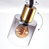 Leteque Plafondlamp Zwart, 3-lichts