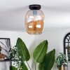 Apedo Plafondlamp - Glas Amber, 1-licht