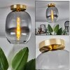 Apedo Plafondlamp - Glas Messing, 1-licht