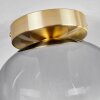 Apedo Plafondlamp - Glas Messing, 1-licht