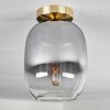 Apedo Plafondlamp - Glas Messing, 1-licht