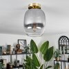 Apedo Plafondlamp - Glas Messing, 1-licht